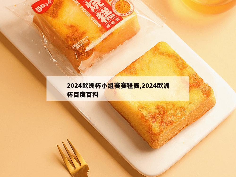 2024欧洲杯小组赛赛程表,2024欧洲杯百度百科