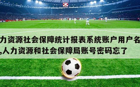 人力资源社会保障统计报表系统账户用户名忘记,人力资源和社会保障局账号密码忘了