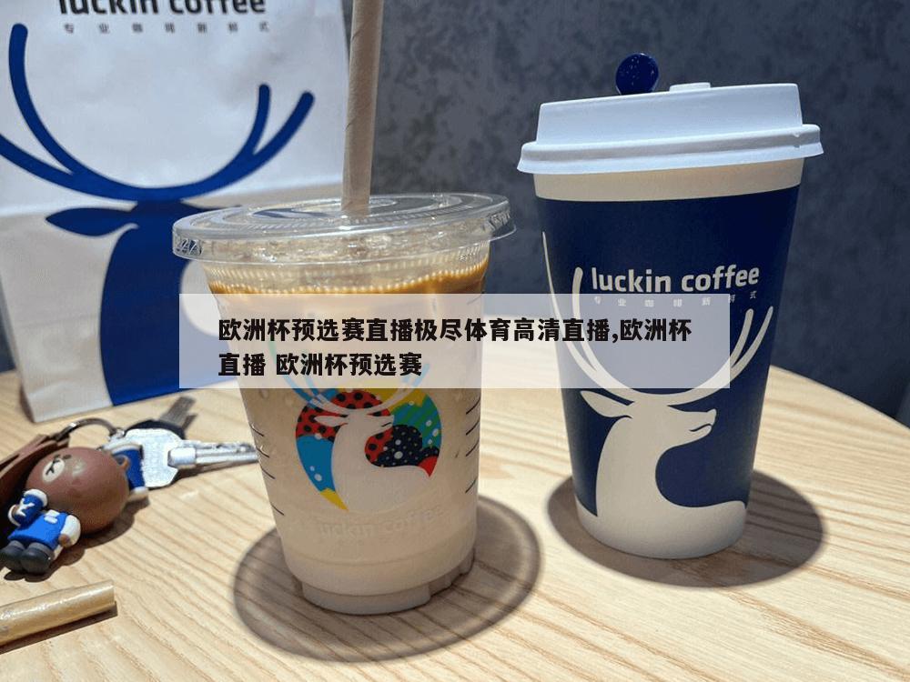 欧洲杯预选赛直播极尽体育高清直播,欧洲杯直播 欧洲杯预选赛