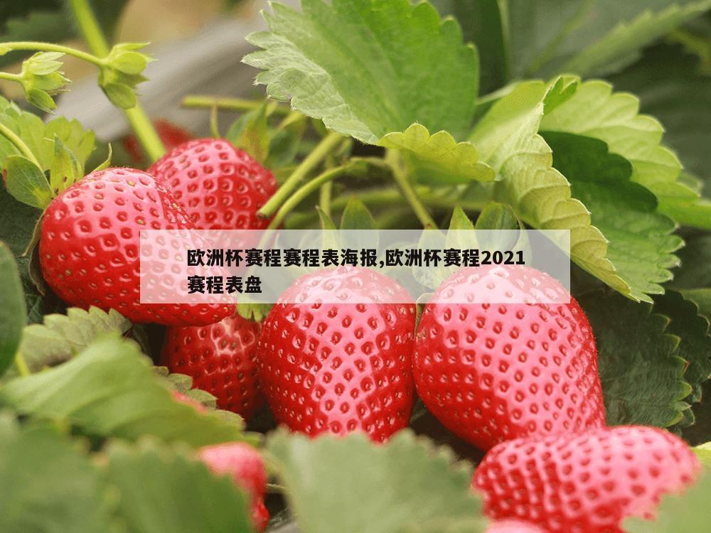 欧洲杯赛程赛程表海报,欧洲杯赛程2021赛程表盘