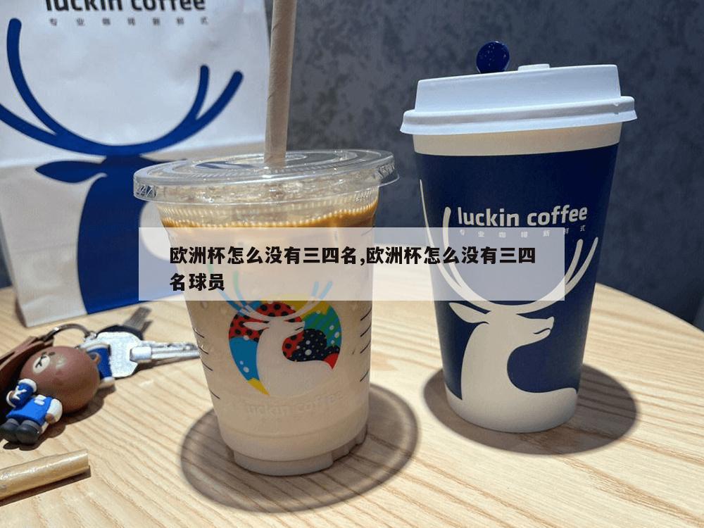 欧洲杯怎么没有三四名,欧洲杯怎么没有三四名球员