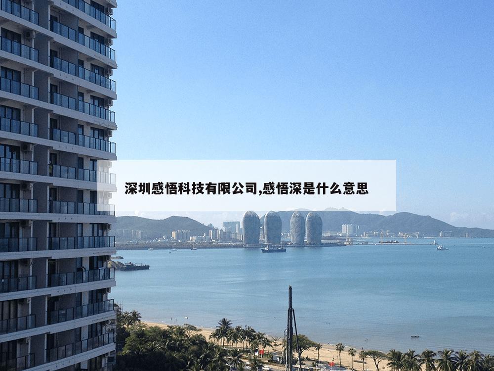 深圳感悟科技有限公司,感悟深是什么意思