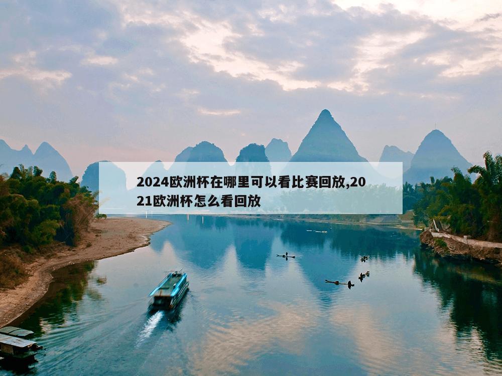 2024欧洲杯在哪里可以看比赛回放,2021欧洲杯怎么看回放