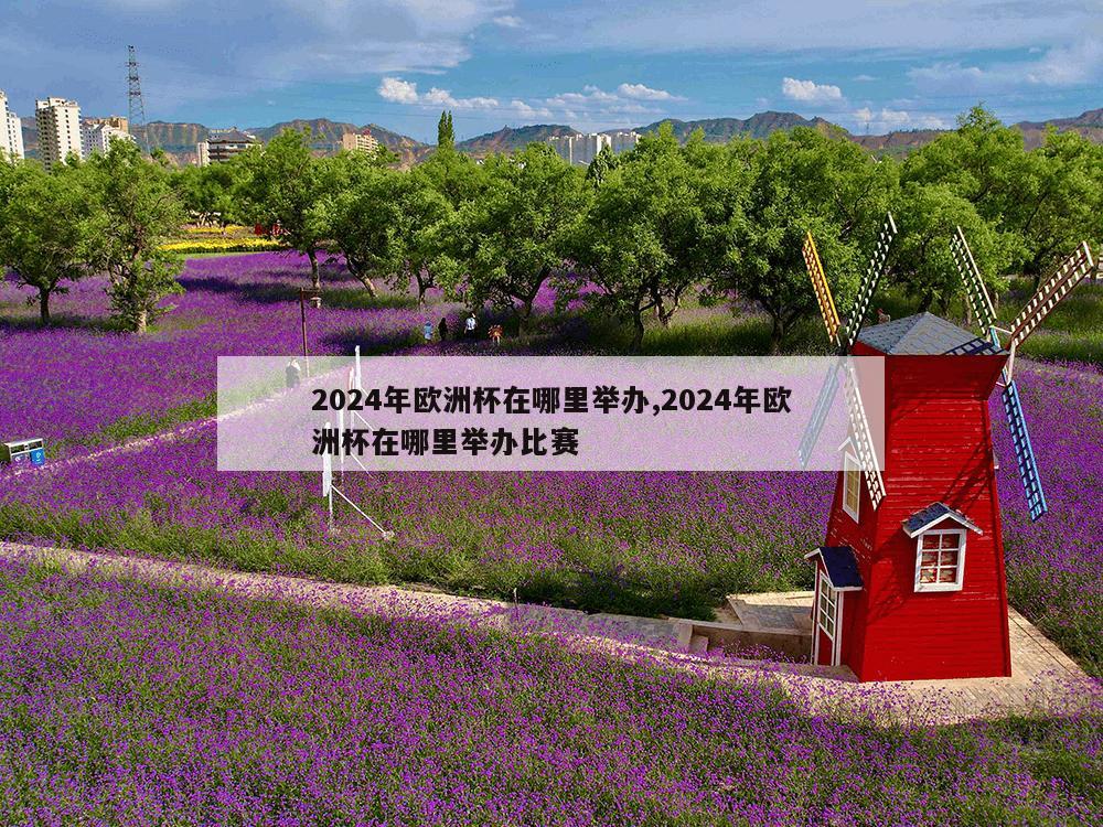 2024年欧洲杯在哪里举办,2024年欧洲杯在哪里举办比赛