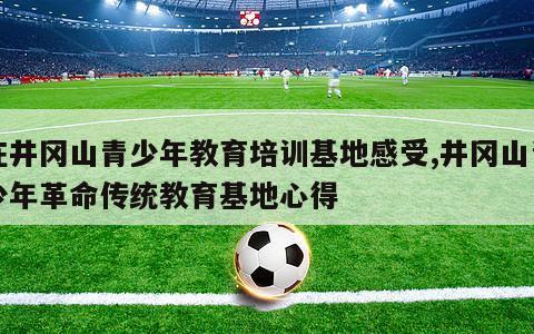 在井冈山青少年教育培训基地感受,井冈山青少年革命传统教育基地心得