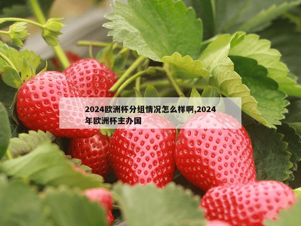 2024欧洲杯分组情况怎么样啊,2024年欧洲杯主办国