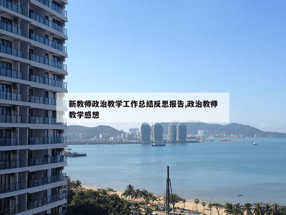 新教师政治教学工作总结反思报告,政治教师教学感想