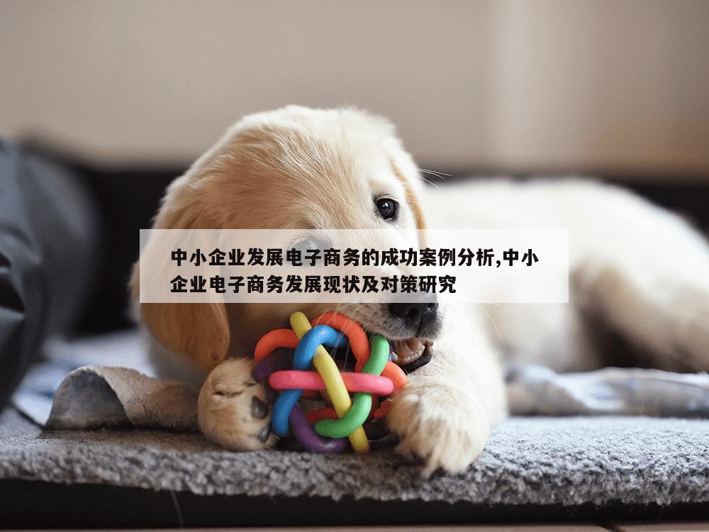 中小企业发展电子商务的成功案例分析,中小企业电子商务发展现状及对策研究