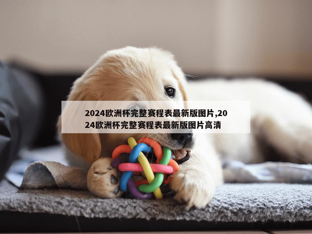 2024欧洲杯完整赛程表最新版图片,2024欧洲杯完整赛程表最新版图片高清