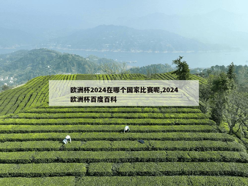 欧洲杯2024在哪个国家比赛呢,2024欧洲杯百度百科