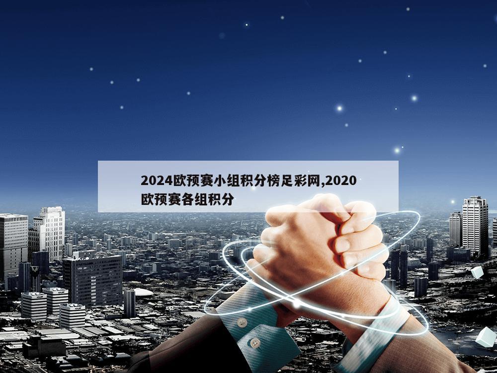 2024欧预赛小组积分榜足彩网,2020欧预赛各组积分