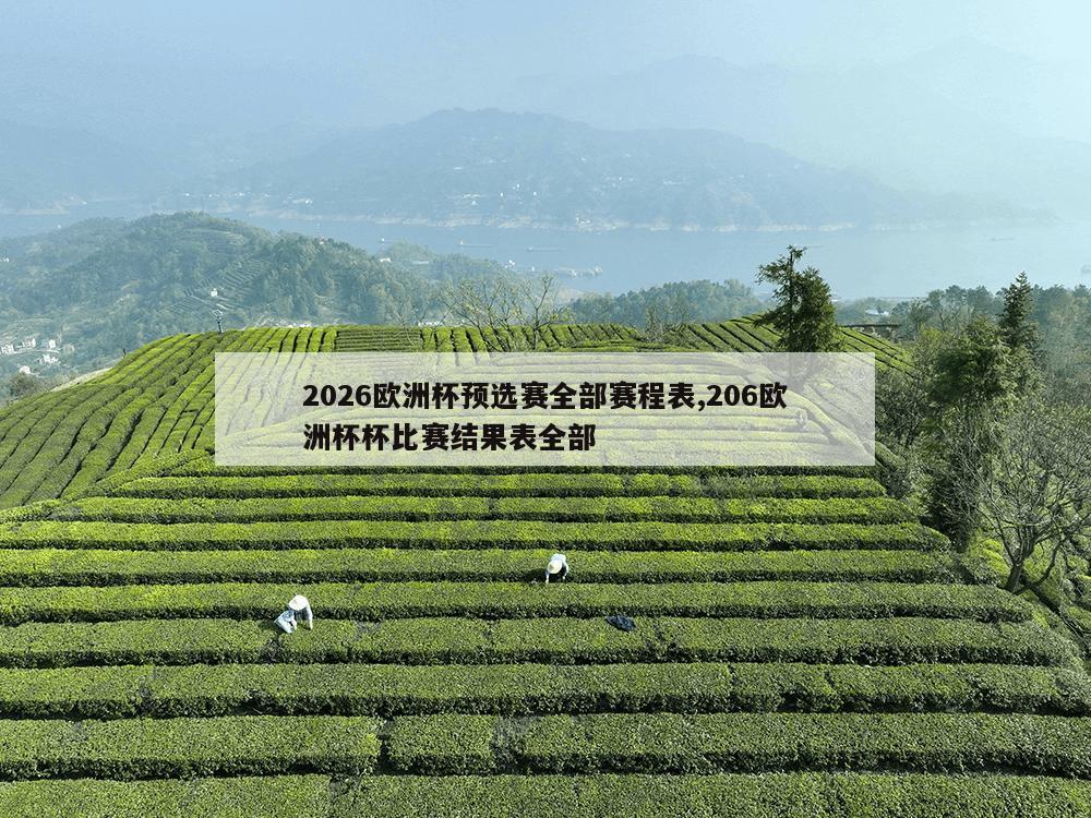 2026欧洲杯预选赛全部赛程表,206欧洲杯杯比赛结果表全部