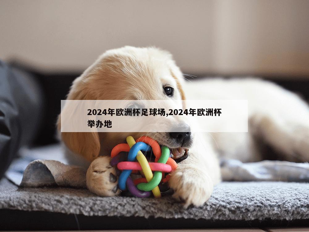 2024年欧洲杯足球场,2024年欧洲杯举办地