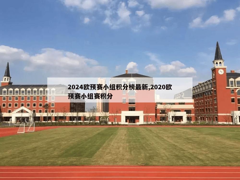 2024欧预赛小组积分榜最新,2020欧预赛小组赛积分