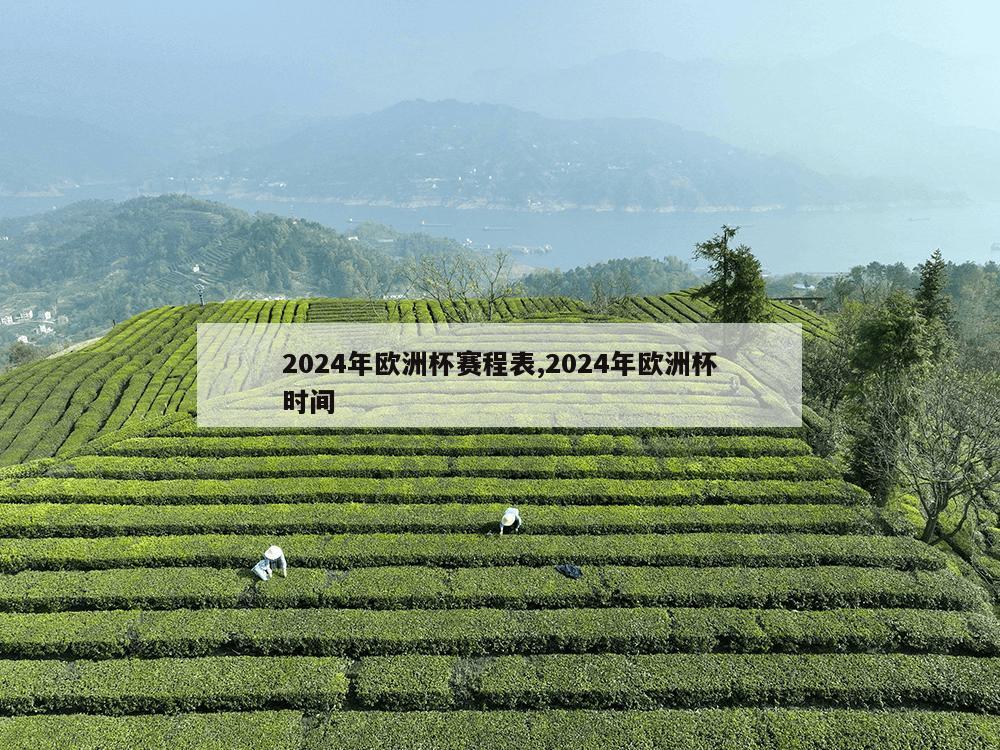 2024年欧洲杯赛程表,2024年欧洲杯时间