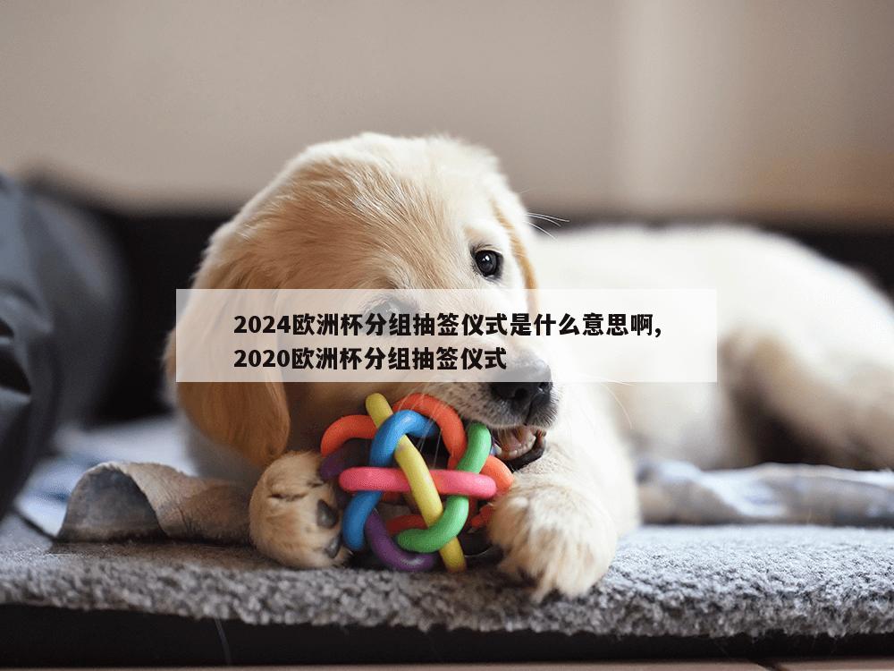 2024欧洲杯分组抽签仪式是什么意思啊,2020欧洲杯分组抽签仪式